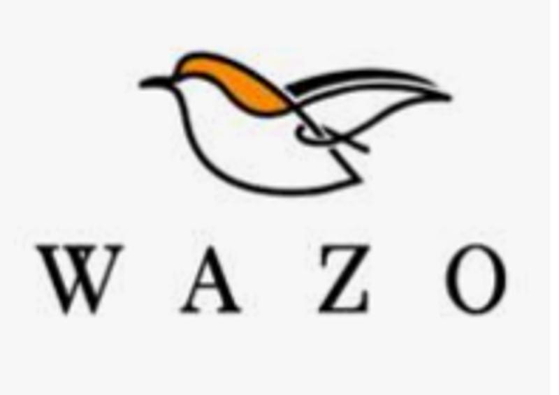 Wazo Furniture Canada Coupons